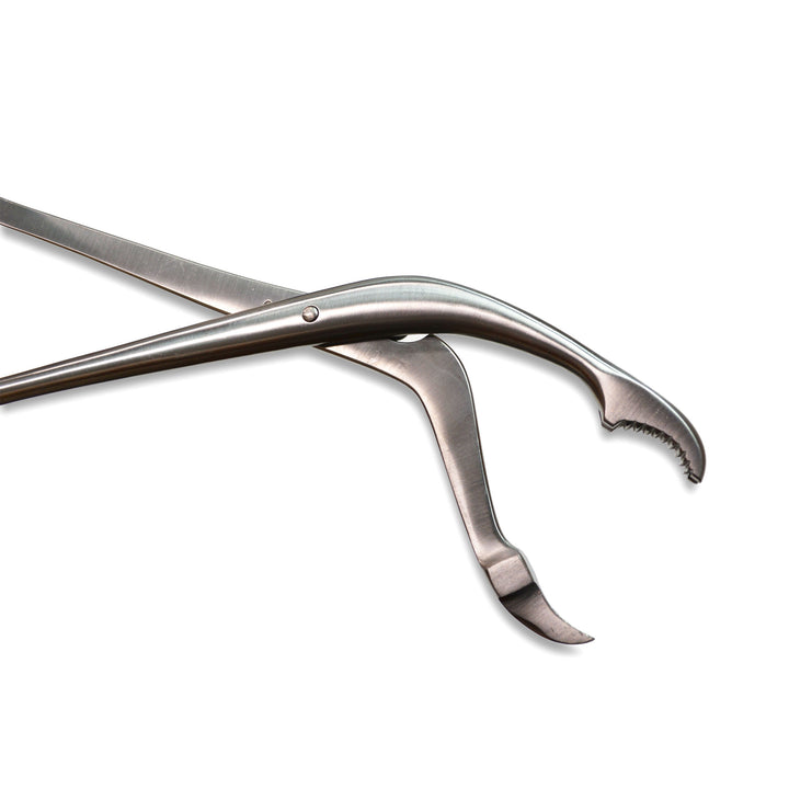 AED Verbrugge Bone Holding Forceps, 10.5cm | VBH100